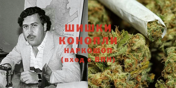 трава Аркадак