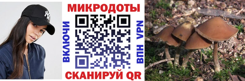 Купить закладки  Узловая  Галлюциногенные грибы Psilocybe 